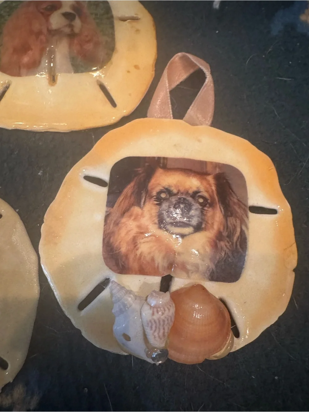 Handcrafted Small Pet real Sand Dollar Ornaments with Dog Artwork - Tan